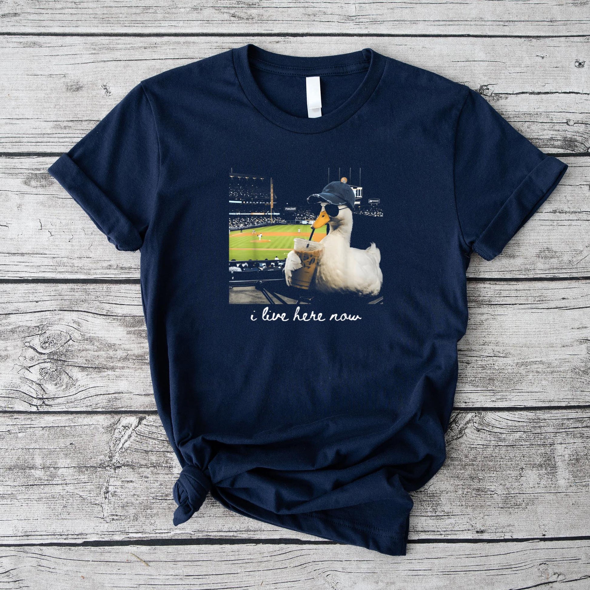 Funny Goose Ballfield Baseball Field I Live Here Now T-Shirt