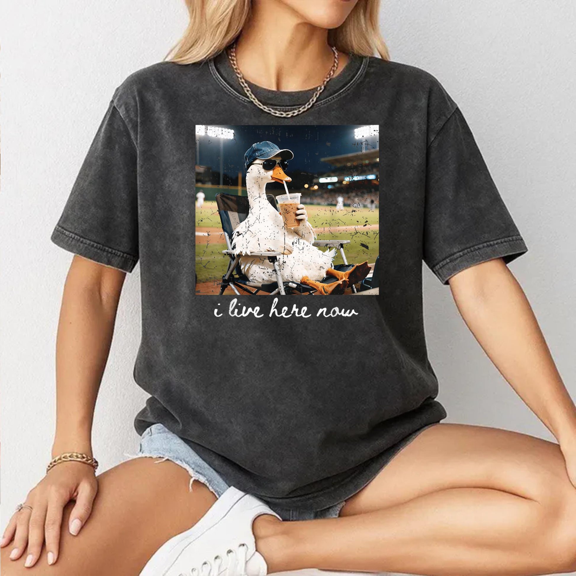Funny Goose Ballfield Baseball Field I Live Here Now T-Shirt v1