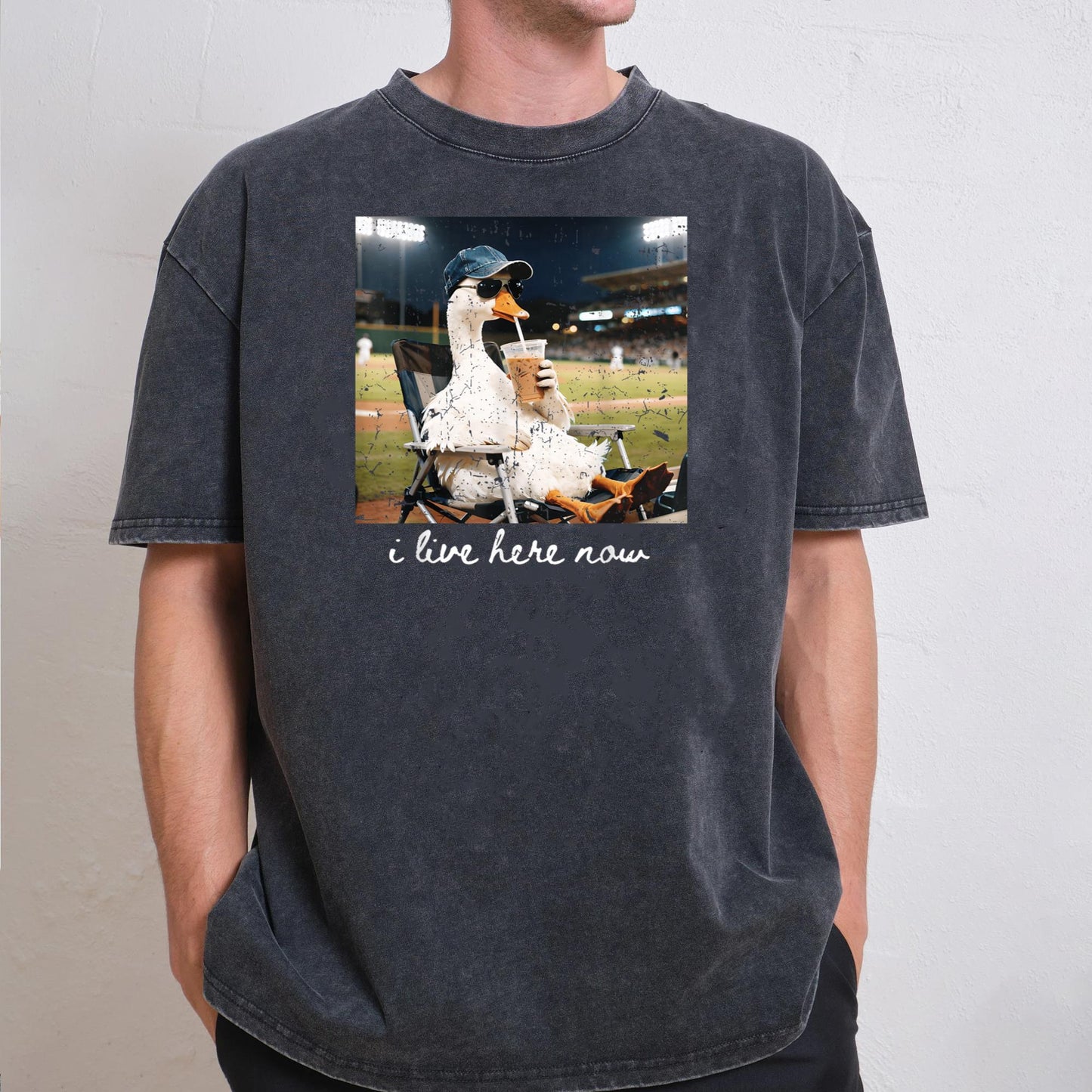 Funny Goose Ballfield Baseball Field I Live Here Now T-Shirt v1