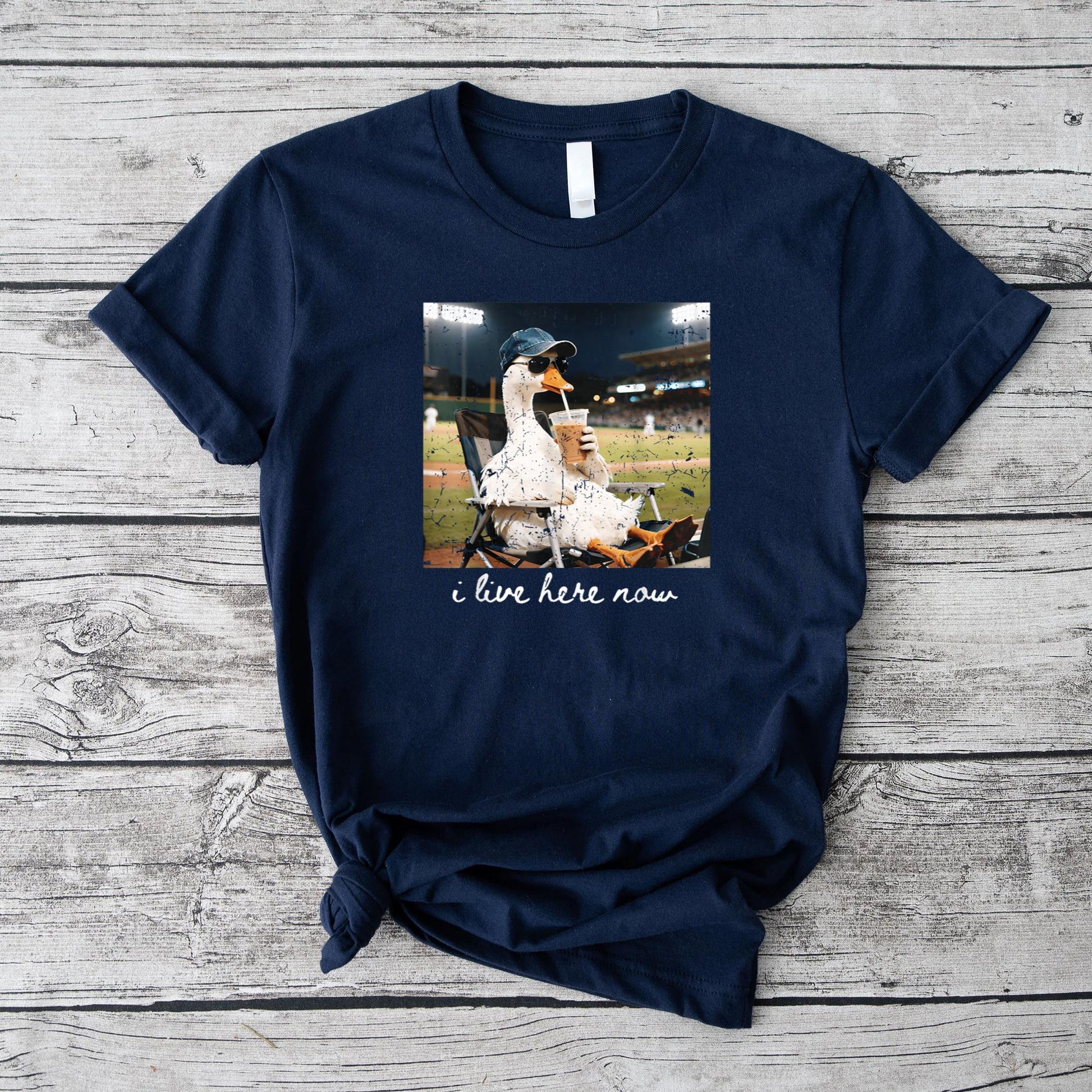 Funny Goose Ballfield Baseball Field I Live Here Now T-Shirt v1