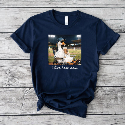 Funny Goose Ballfield Baseball Field I Live Here Now T-Shirt v1